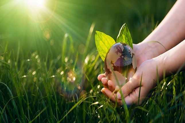 Sonne, Gras, Erdkugel